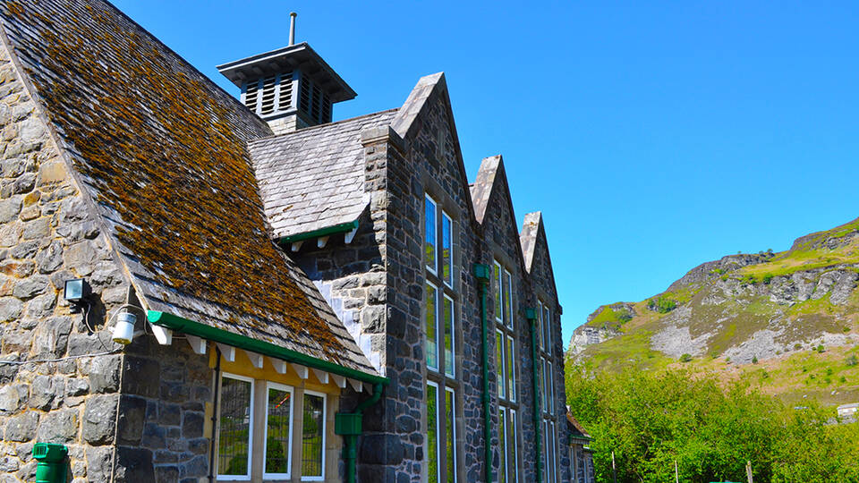 manual override of alt text