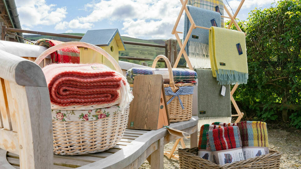 manual override of alt text