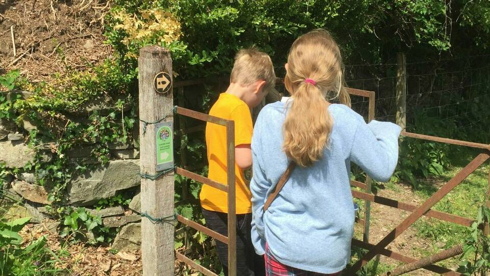 manual override of alt text