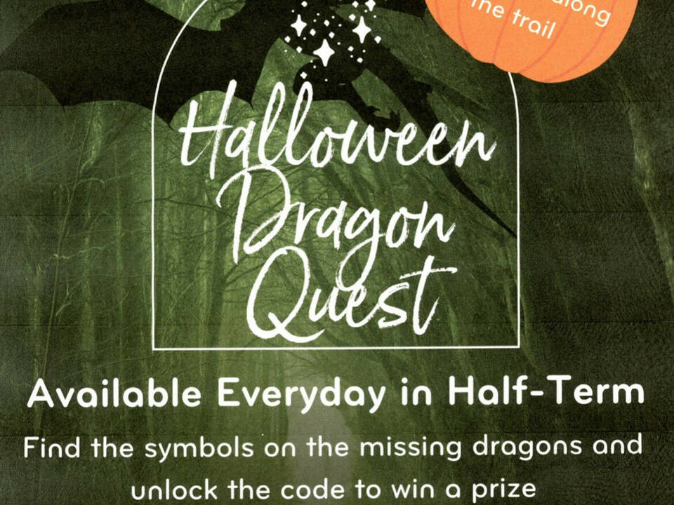 manual override of alt text