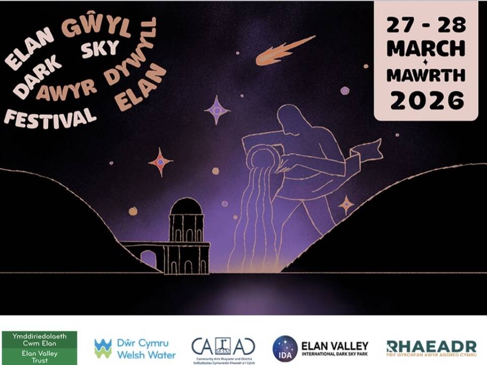 manual override of alt text