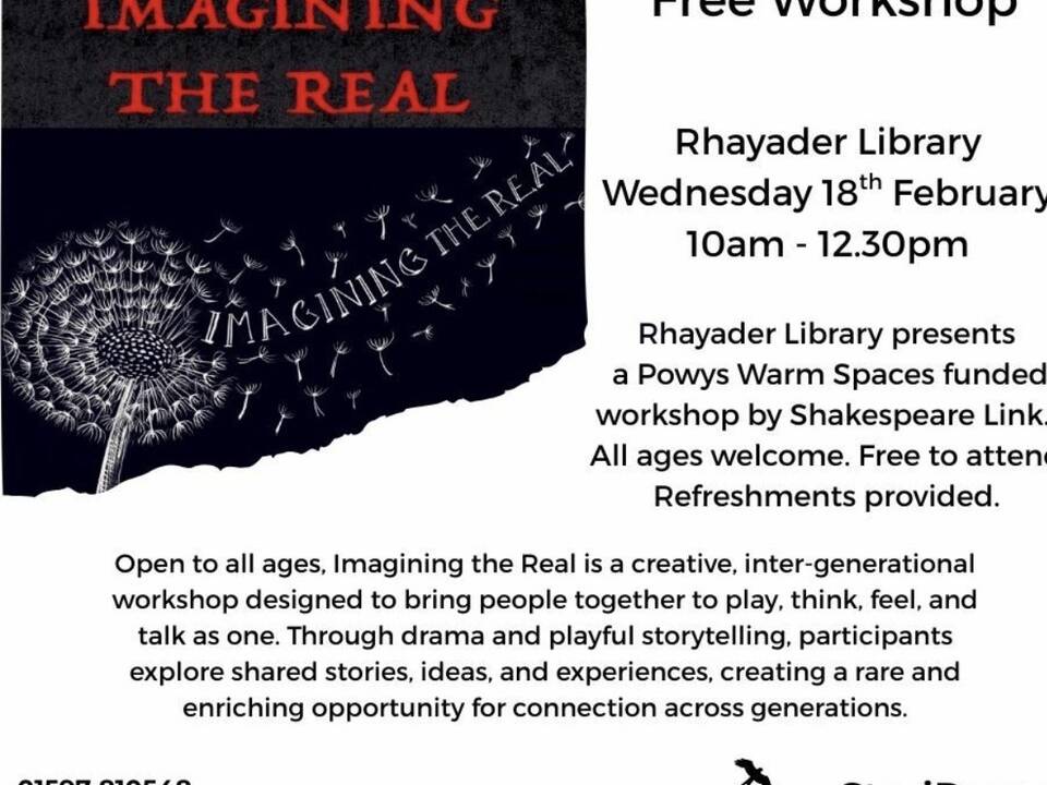 manual override of alt text