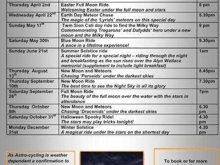 manual override of alt text