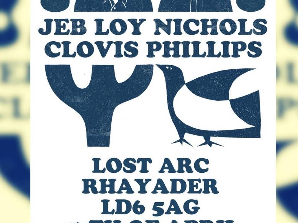 manual override of alt text